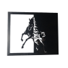 Décoration murale Cheval Sauvage